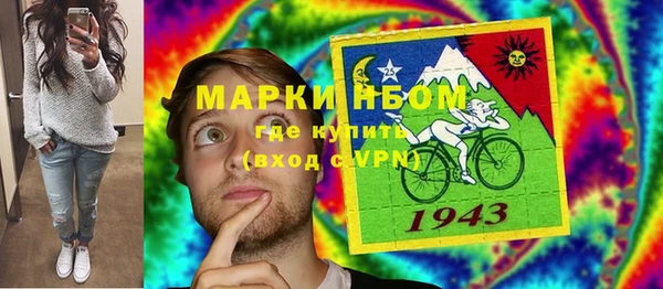 крисы Ладушкин