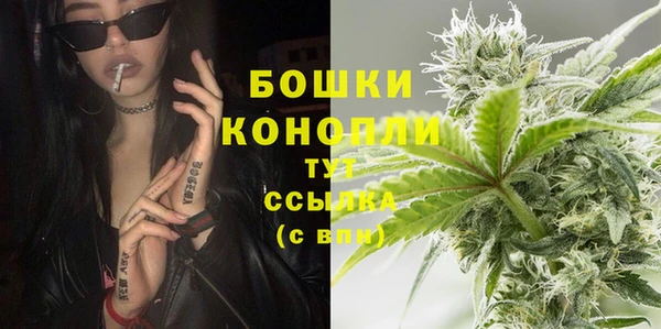 крисы Ладушкин
