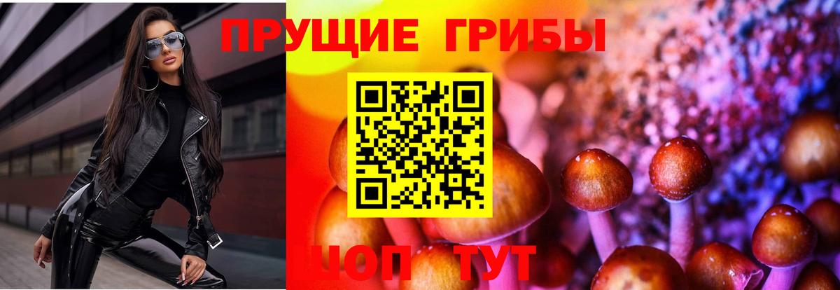Рузаевка  Галлюциногенные грибы прущие грибы  Вход с VPN 