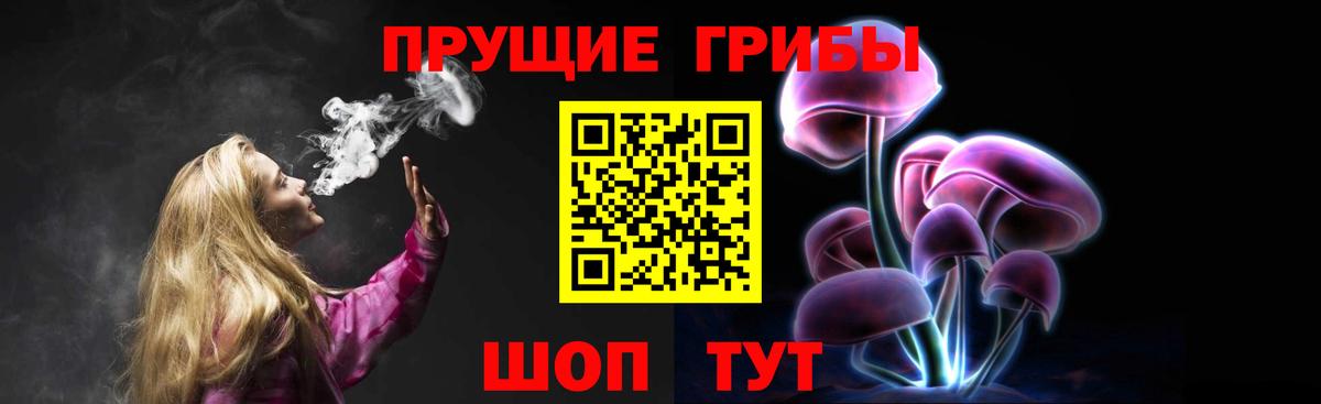 Псилоцибиновые грибы GOLDEN TEACHER Рузаевка